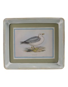 Картина прямоугольная Glasar Морская птица 25 х 3 х 30 см печать Vetta