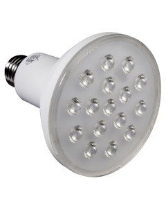 Светодиодная лампа PAR30 16 LED Gls