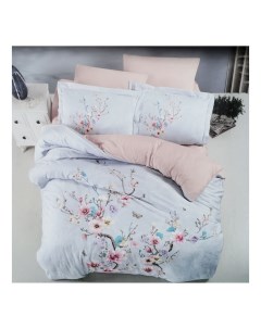 Комплект постельного белья Lusia евро сатин 50 х 70 см 70 х 70 см розово голубой Ecosse