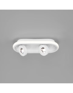 Потолочный светодиодный светильник 20123 2 LED белый Eurosvet