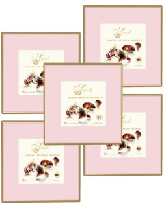 Шоколадные конфеты с начинкой пралине розовая 250 гр 5 шт Ameri