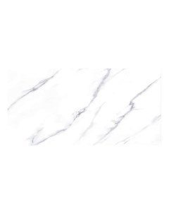 Универсальная плитка Pulido NPlus Carrara Lap белая 60 х 120 см Fanal