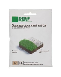Семена газона Универсальный Зеленый ковер