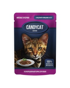 Влажный корм для кошек индейка с овощами в желе 85 г Candycat