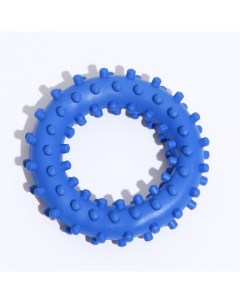 Игрушка для собак Кольцо с шипами 2 синяя 6 8 см Зооник