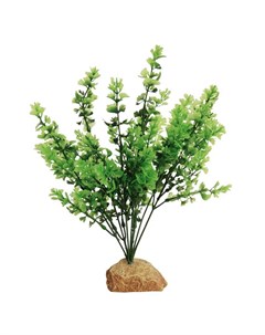 Декоративное растение для террариумов Разнотравие 2 25х17х30см Exoprima