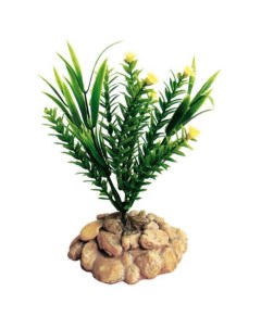Декоративное растение для террариумов Разнотравие 1 12х12х16см Exoprima