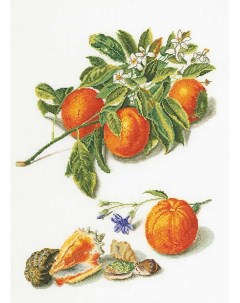 Набор для вышивания Апельсины и мандарины 3061A Thea gouverneur