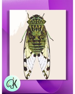 Картина по номерам на холсте Зеленая муха 40 х 60 см Культура цвета