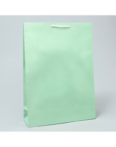 Пакет подарочный ламинированный упаковка green l 28 х 38 х 9 см Доступные радости