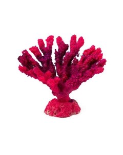 Коралл для аквариума Акабария 9x5x7 см розовый Grotaqua