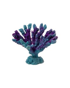 Коралл для аквариума Акабария 9x5x7 см голубой Grotaqua