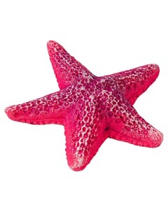 Звезда для аквариума Кр 2126 средняя 9x9x2 см красная Grotaqua