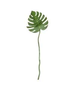 Растение декоративное Deko лист Филодендрона Asa selection