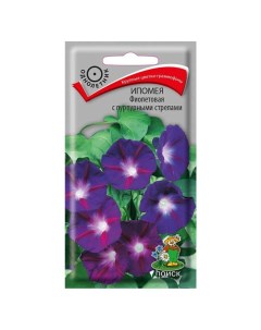 Семена Цветы Ипомея Фиолетовая с пурпур стрелами 0 5 г цветная упаковка Поиск