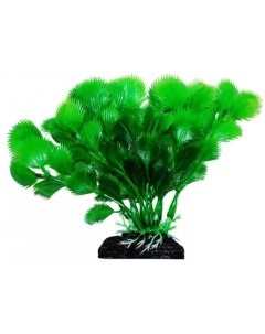 Растение аквариумное Дианея зеленая Уют