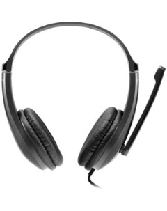 Гарнитура CHSU 1 basic PC headset with microphone USB plug leather pads Flat cable length 2 0m 160 6 Canyon