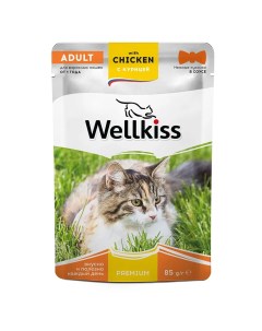 Adult Влажный корм пауч для взрослых кошек с курицей в соусе 85 гр Wellkiss
