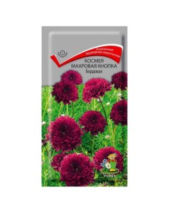 Семена Цветы Космея Махровая кнопка бордовая 0 1 г цветная упаковка Поиск