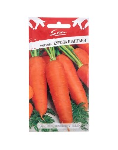 Семена Морковь Курода Шантанэ 2 г цветная упаковка Русский огород