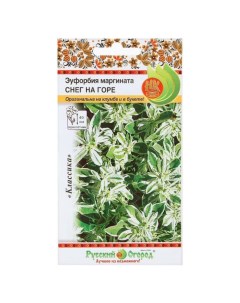 Семена Цветы Эуфорбия маргината Снег на горе 0 5 г цветная упаковка Русский огород