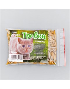 Лакомство для кошек Семена Травка для проращивания 10 шт по 20 г Elf