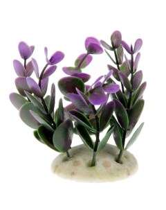 Растение аквариумное искусственное кустовое фиолетовое 10 см 2 шт Пижон аква