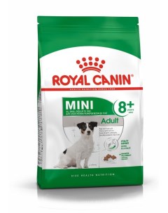Сухой корм для собак Mini Adult 8 для малых пород 2 кг Royal canin