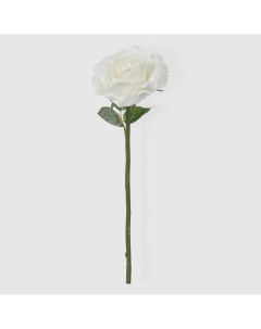 Роза 14718 30 см Конэко-о