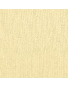 Бумага для пастели Палаццо 70x100 см 160 г песочный Лилия холдинг