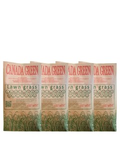 Семена газонной травы для дачи 20кг Канада Грин Viilageна 4 4 5 сотки газон Газонленд