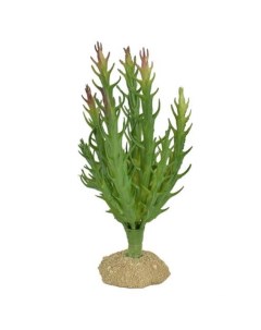 Растение для террариума Богема 8 5х6 5х16см Exoprima