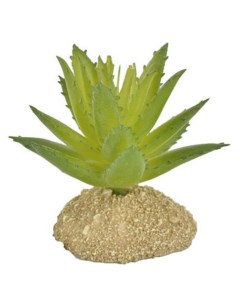 Растение для террариума Алое зелёное 6 5х5 5х6 5см Exoprima