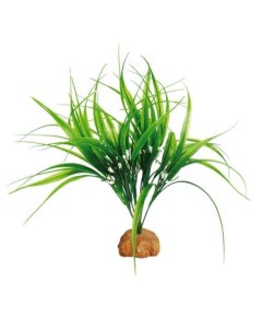 Декоративное растение для террариумов Sumatra Grass 36х30х30см Exoprima