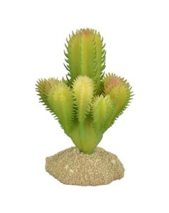 Растение для террариума Кактус светло зелёное 7х6х9 5 см Exoprima