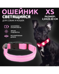 Ошейник светящийся для собак светодиодный розового XS 2 0х28 40 см At