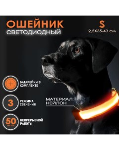 Ошейник светящийся для собак светодиодный оранжевого S 2 5х35 43 см At