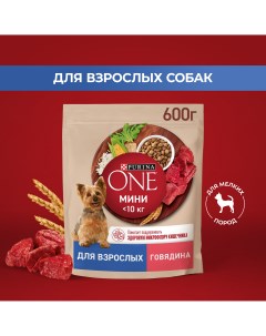 Сухой корм для собак Мини при активном образе жизни с говядиной и рисом 600 г Purina one