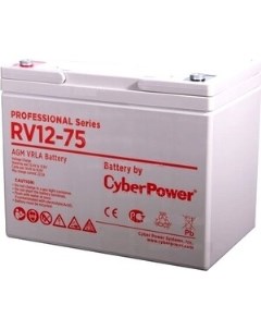 Аккумуляторная батарея Professional Series RV 12 75 Cyberpower