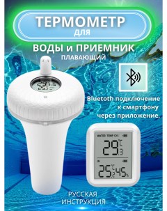 Термометр для воды с приемником IBS P01R Prime grill