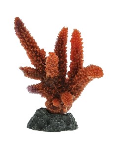 Коралл для аквариума мягкий красный 8х6 5х8 см Vitality