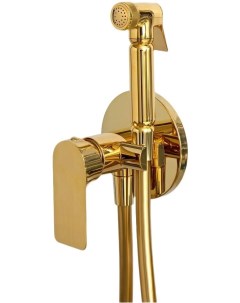 Гигиенический душ Infinity I65DO со смесителем золотой Remer