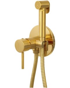 Гигиенический душ X Style X65WBG со смесителем золотой матовый Remer