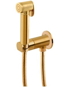 Гигиенический душ Minimal N64WBG со смесителем золотой матовый Remer