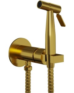 Гигиенический душ Castello Round CAPJ442R со смесителем золотой матовый Paini
