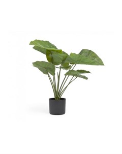 Искусственное растение Alocasia La forma