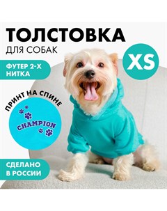 Толстовка champion для собак футер размер xs дс 18 ош 28 30 ог 38 40 голубая Пушистое счастье