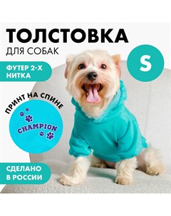 Толстовка champion для собак футер размер s дс 23 ош 32 34 ог 40 44 голубая Пушистое счастье