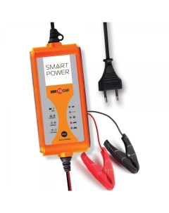 Зарядное устройство Smart Power SP 8N Berkut