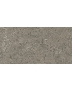 Керамогранит Marvel Meraviglia Grigio Elegante Lapp 60x120 Atlas concorde